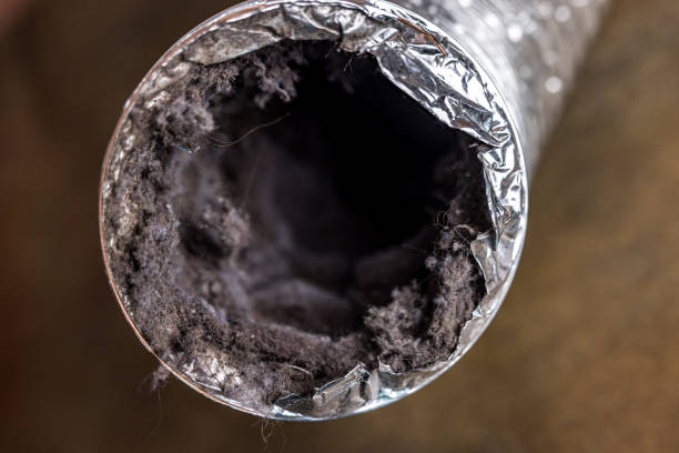 Best Air Duct Cleaning Near Me  in Dilley, TX