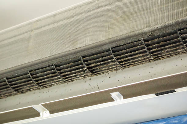 Best Best Air Duct Cleaning Company  in Dilley, TX